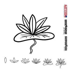 Draw icon step by step nature water lily