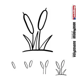 Draw icon step by step nature reedmace cattail
