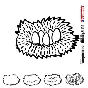 Draw icon step by step nature eggs bird nest