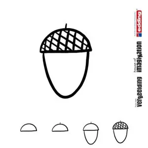 Draw icon step by step nature acorn nut